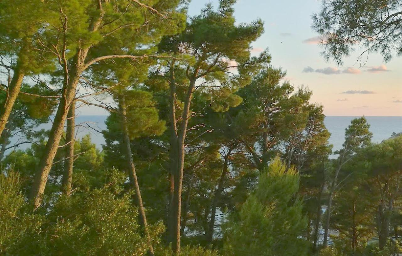 Вілла House In The Pines Сутоморе Екстер'єр фото